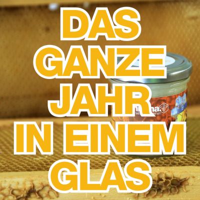 Das ganze Jahr in einem Glas